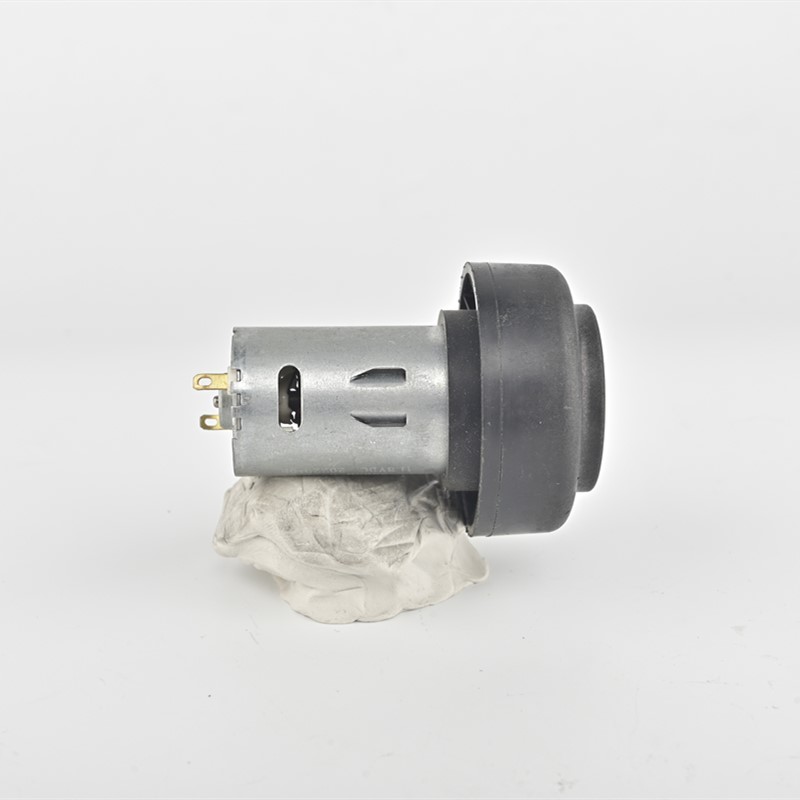 micro dc motor