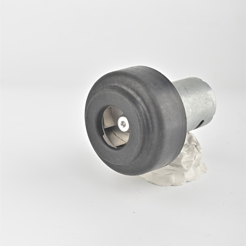 micro dc motor
